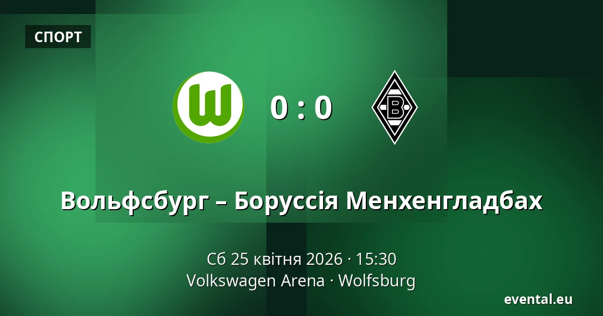 Вольфсбург – Боруссія Менхенгладбах — Volkswagen Arena, Wolfsburg