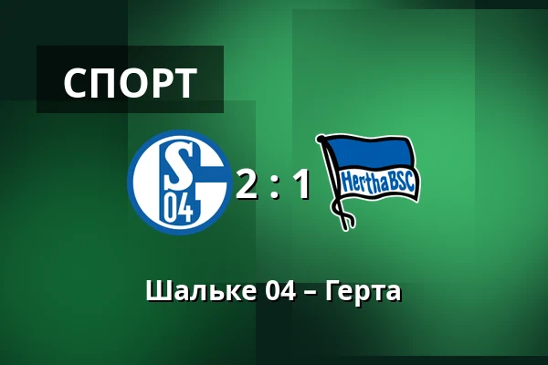 Шальке 04 – Герта — Veltins Arena, Гельзенкірхен