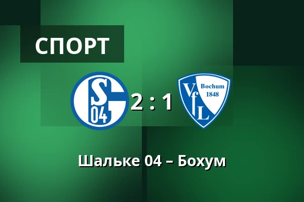 Шальке 04 – Бохум — Veltins Arena, Гельзенкірхен