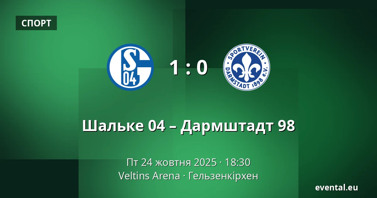 Шальке 04 – Дармштадт 98 — Veltins Arena, Гельзенкірхен