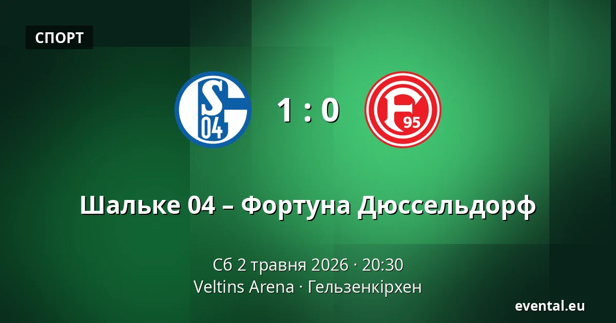 Шальке 04 – Фортуна Дюссельдорф — Veltins Arena, Гельзенкірхен
