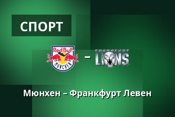Мюнхен - Франкфурт Львы — Мюнхен
