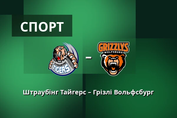 Штраубінг Тайгерс – Грізлі Вольфсбург — Straubing