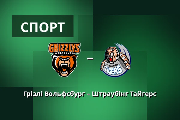 Грізлі Вольфсбург – Штраубінг Тайгерс — Wolfsburg