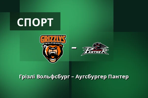 Грізлі Вольфсбург – Аугсбургер Пантер — Wolfsburg