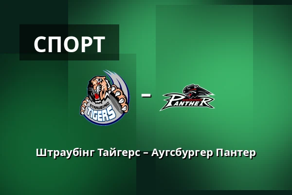 Штраубінг Тайгерс – Аугсбургер Пантер — Straubing